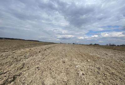 Teren agricol extravilan de 2300 mp, în Horodnic de Sus - 4