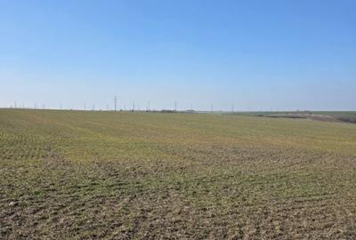 Teren de 4750 mp, în Mischii - 1