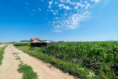 Teren agricol intravilan de 16080 mp, în Sânpetru - 6
