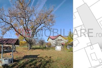 Teren intravilan de 3163 mp, în Brebu Mânăstirei - 8