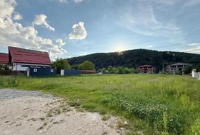 Teren Construcții intravilan de 1300 mp, în Baciu - 2