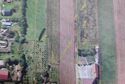 Teren de 10600 mp, în Gligorești - 1
