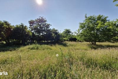 Teren de 2400 mp, în Dor Mărunt