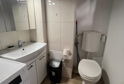 Apartament cu 2 camere decomandat, mobilat în Cișmigiu - 10