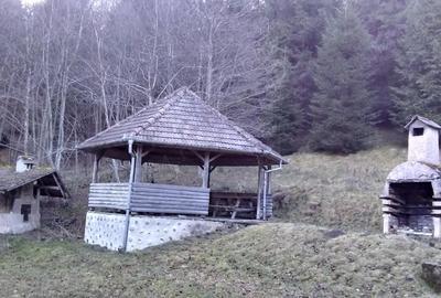 Casă cu 6 camere cu Teren 3884 Mp în Plaiul Foii - 10