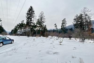 Teren Construcții intravilan de 800 mp, în Bunloc - 3