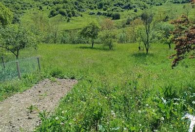 Teren de 2276 mp, în Drăgăneasa - 8