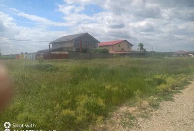 Teren de 1500 mp, în Petrăchioaia