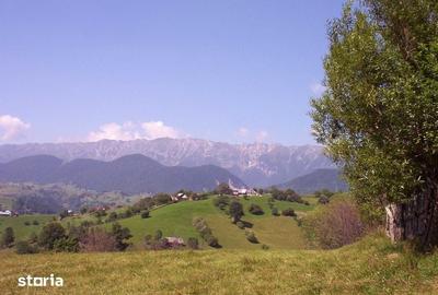 Teren de 970 mp, în Moieciu - 5
