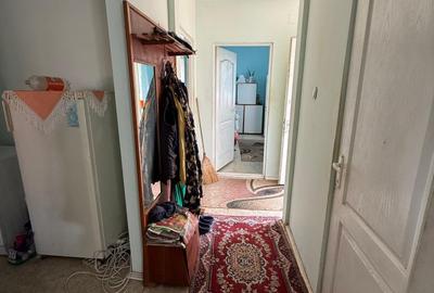 Casă cu 3 camere cu Teren 2200 Mp în Cruceni - 14