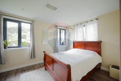 Casă individuală cu 9 camere cu Teren 1378 Mp în Eșelnița - 14