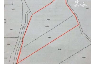 Teren Construcții intravilan de 8000 mp, în Nord-Vest - 4