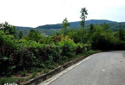 Teren de 2600 mp, în Provița de Jos