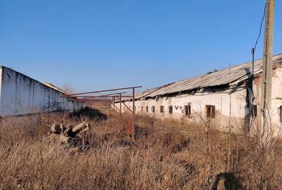 Teren de 9500 mp, în Central - 5