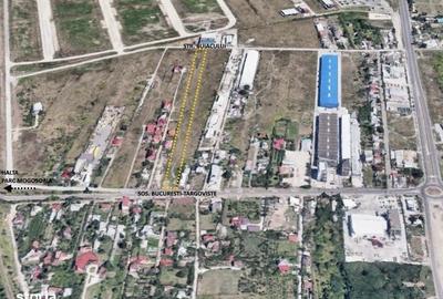 Spațiu comercial, în Mogoșoaia - 3