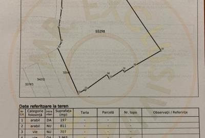 Teren Construcții intravilan de 7127 mp, în Central - 3