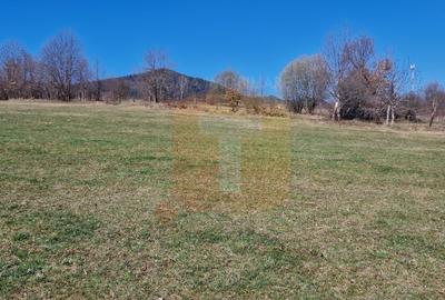 Teren Construcții intravilan de 4000 mp, în Alexandru cel Bun - 18