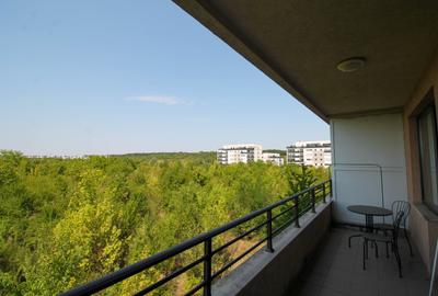 Apartament cu 2 camere semidecomandat, mobilat în Iancu Nicolae