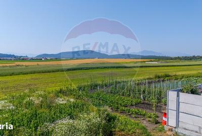 Teren de 1020 mp, în Central