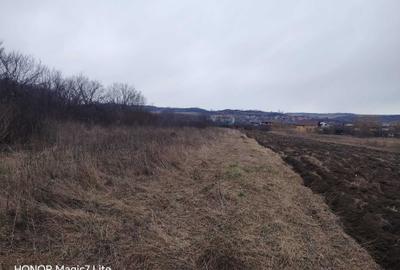 Teren de 4000 mp, în Crișeni