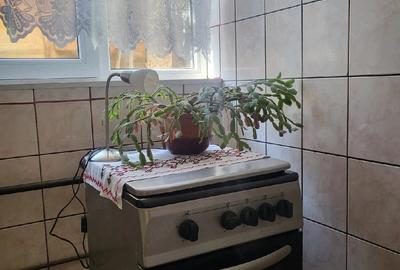 Casă cu 6 camere cu Teren 100 Mp în Central