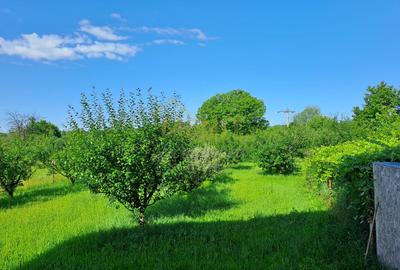 Casă individuală cu 6 camere cu Teren 2756 Mp în Băicoi - 9