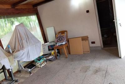 Casă cu 3 camere în Variașu Mare - 2