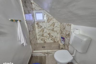 Casă cu 2 camere cu Teren 5135 Mp în Dobreni - 4