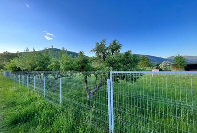 Teren de 1780 mp, în Pângărați