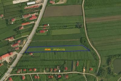 Teren Construcții intravilan de 7580 mp, în Albota - 2