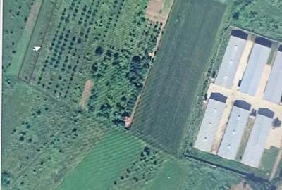 Teren de 2184 mp, în Mintia - 5
