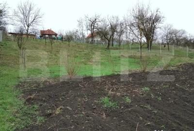 Teren de 3000 mp, în Călărași - 2