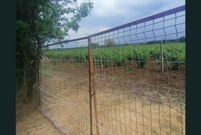 Teren de 1800 mp, în Valea Călugărească - 9