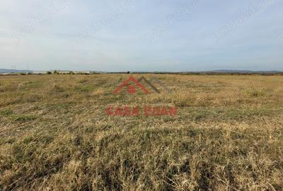 Casă cu Teren 10000 Mp în Băicoi - 9