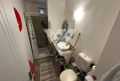 Apartament cu 2 camere semidecomandat, mobilat în Terezian - 3