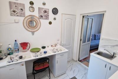 Garsonieră semidecomandată în Lotrioara - 2