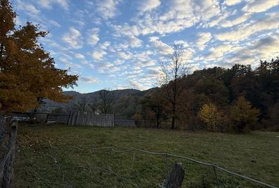 Teren de 3500 mp, în Cuejdiu - 7