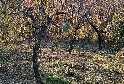 Casă cu 3 camere în Breaza - 1