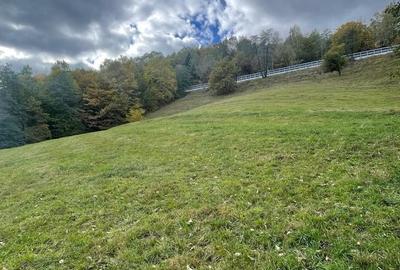 Teren de 4700 mp, în Moieciu - 2