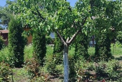 Casă cu 2 camere cu Teren 2000 Mp în Urecheni - 17