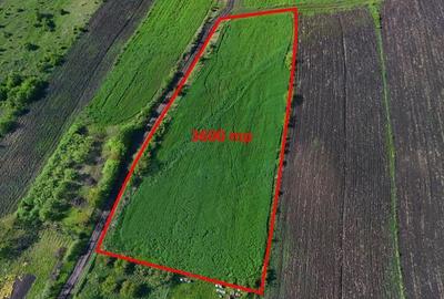 Teren de 3600 mp, în Central