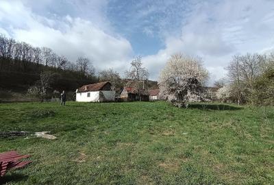 Teren de 1563 mp, în Central - 4
