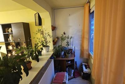 Apartament cu 3 camere decomandat în Brazda lui Novac