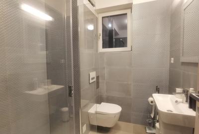 Apartament cu 3 camere decomandat, mobilat în Iancu Nicolae - 9