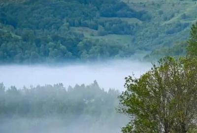 Teren de 17000 mp, în Nucșoara - 8