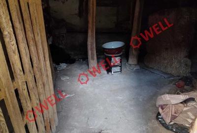 Casă cu Teren 1647 Mp în Mereni - 12