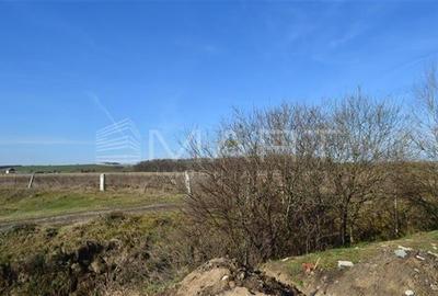 Teren de 6000 mp, în Turnișor - 2