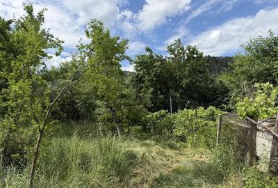 Casă cu Teren 800 Mp în Central