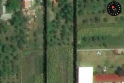 Teren de 2900 mp, în Ceanu Mic - 4