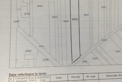 Teren de 4000 mp, în Căldărușeanca - 9